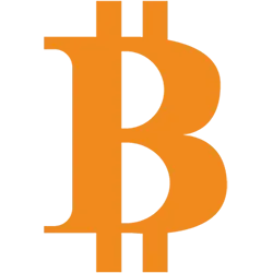 Bitcoin Merch logo