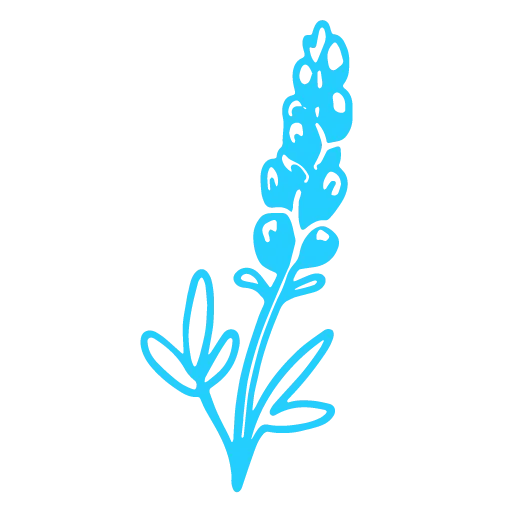 Bluebonnet Case logo