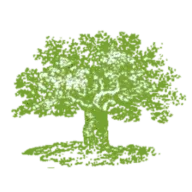 CRANN logo