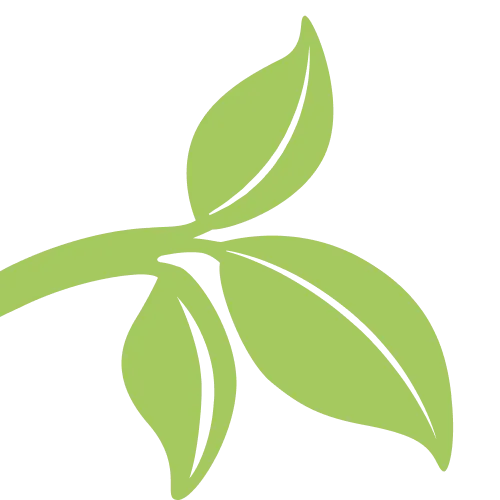 DesiMe logo