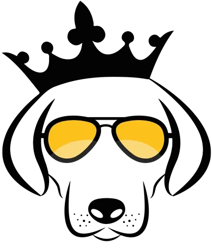 Doggykingdom logo