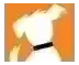 DOGTV logo
