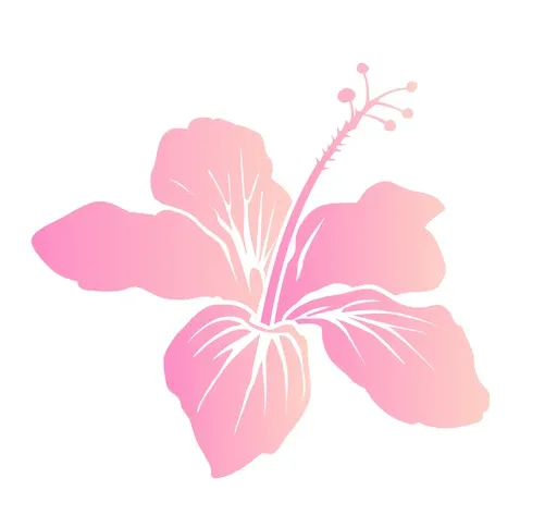 LaSalle Creations logo