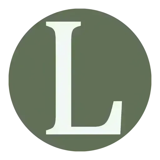LayinSun logo
