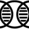 Omnix research logo