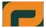 Plug logo