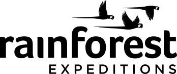 Rainforest Expeditions logo
