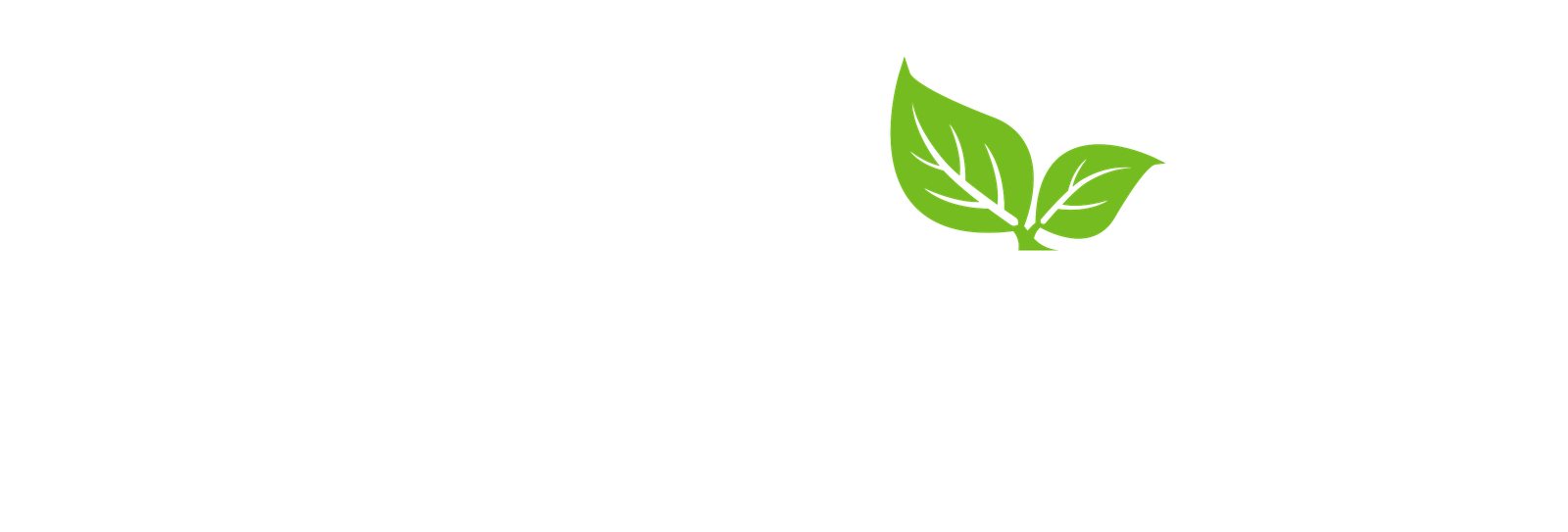 RainPoint logo