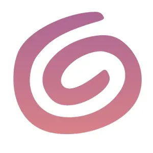 Silverette Usa logo