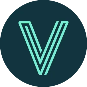 VidaVibe Volleyball logo