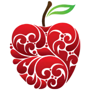 Vixin logo