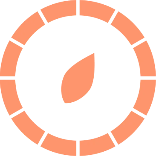 Voyager Life Limited logo