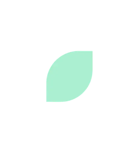 Wildmintcosmetics logo