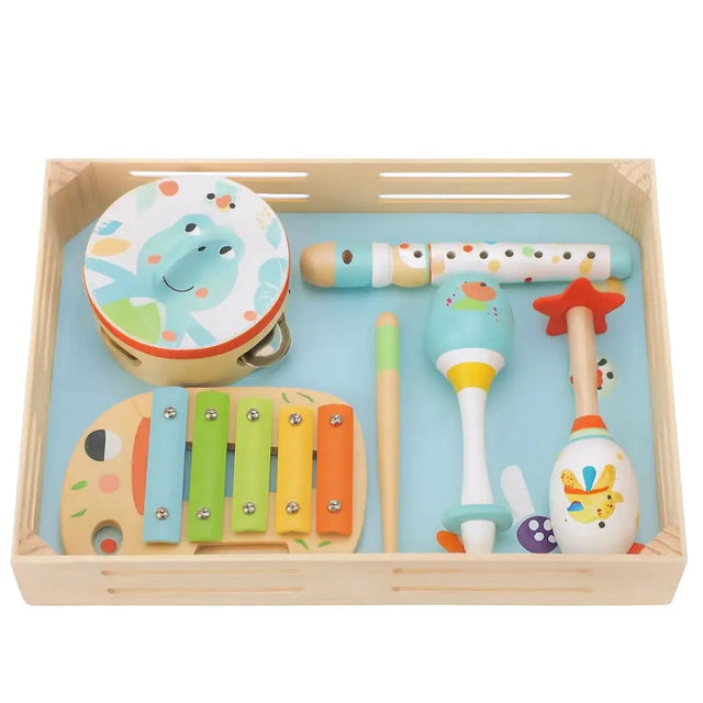 Music Instrument Set