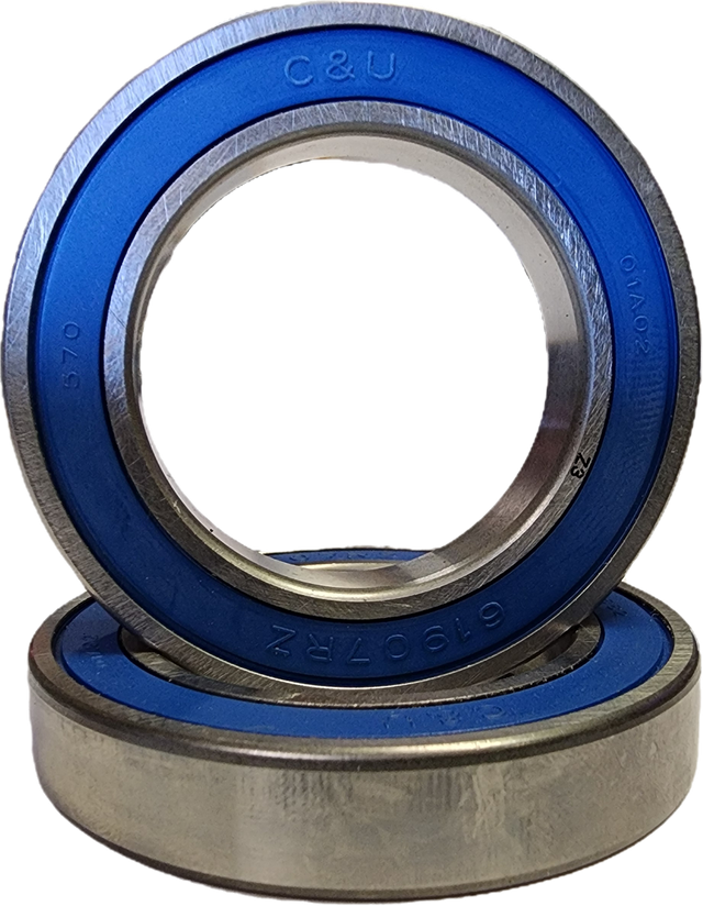 C&U (OEM) Stainless Ball Bearing Set - GTS/GT/XR/+/PINT/PINT X