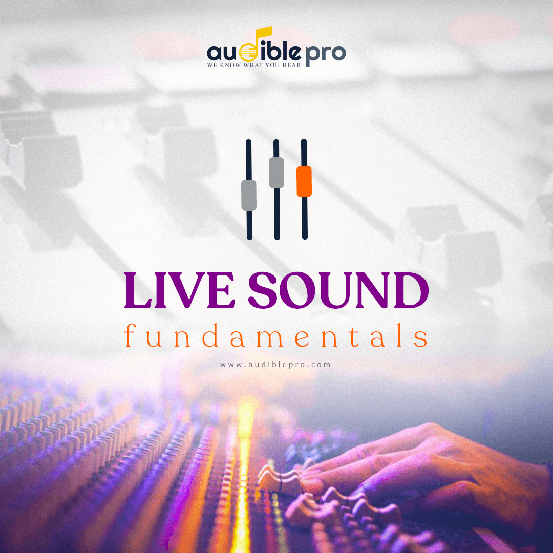 Live Sound Engineering Fundamentals | Sinhala Medium (Level 3 – Professional PA Systems & Industry Practices)