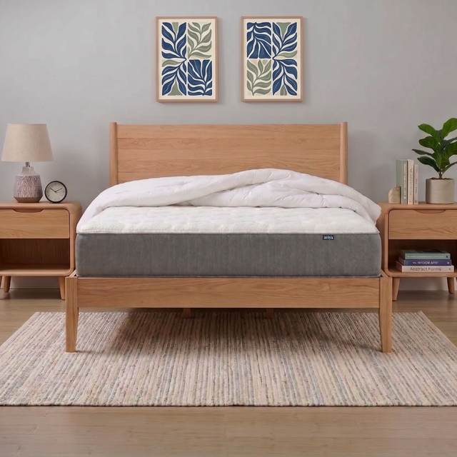 Aviya Plush Mattress