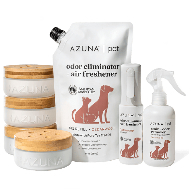 Pet Odor Eliminator & Stain Remover Premium Kit