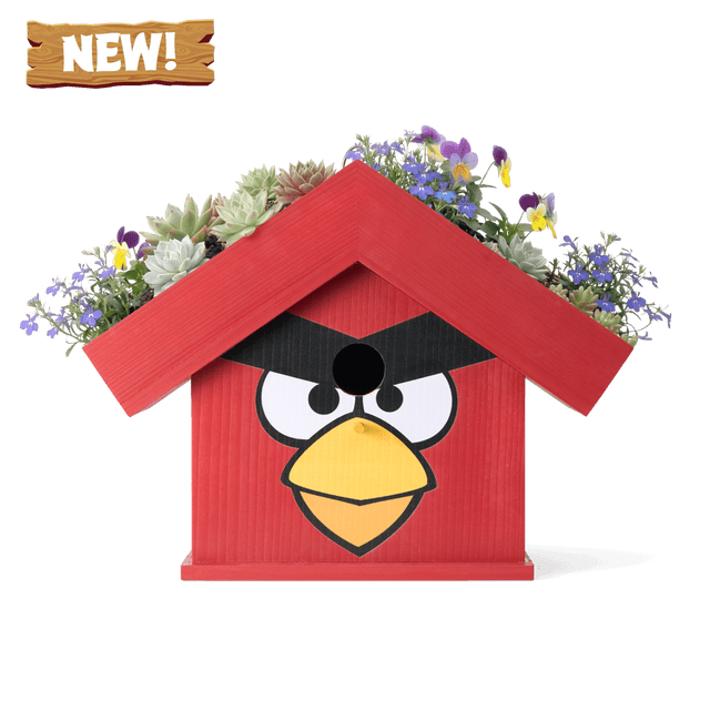 WildYard X Angry Birds™ - Flowerpot Birdhouse