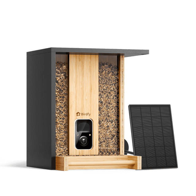 Birdfy Feeder Bamboo - Smart Bird Feeder with Eco-friendly Material
