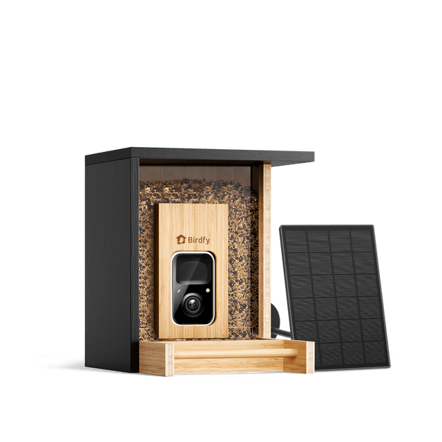 Birdfy Feeder Wood - Limited Gift Set | Smart Bird Feeder with Camera
