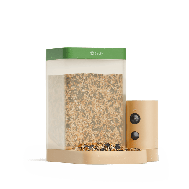 Birdfy Feeder Metal - Limited Gift Set | Smart Bird Feeder with Camera