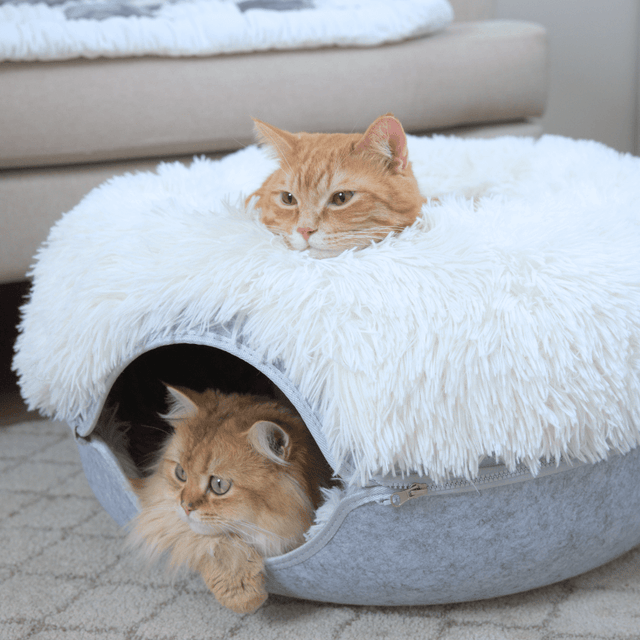 Cattasaurus™ Calming Donut - BOGO Free