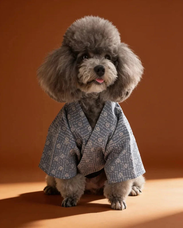 Japanese Yukata Small Dog & Cat Costume