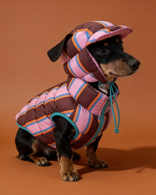 Cocoa & Cotton Candy Striped Warm Pet Jacket Vest with Hat