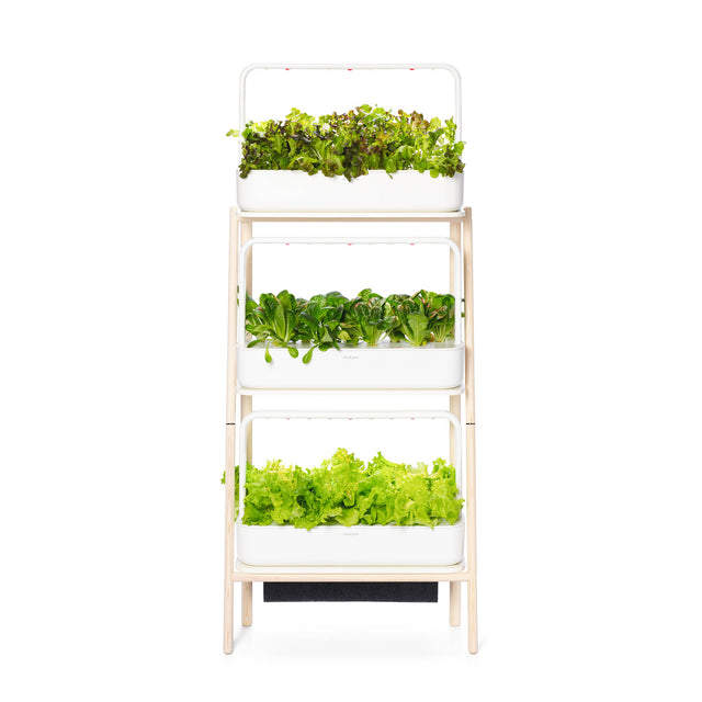 The Smart Garden 27