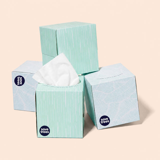 Bamboo Cube Tissues - 24 Tissue Boxes