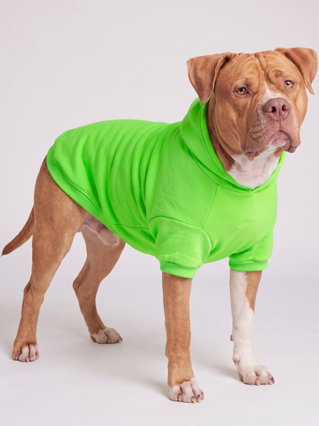Neon Minimalist Paw Hoodie