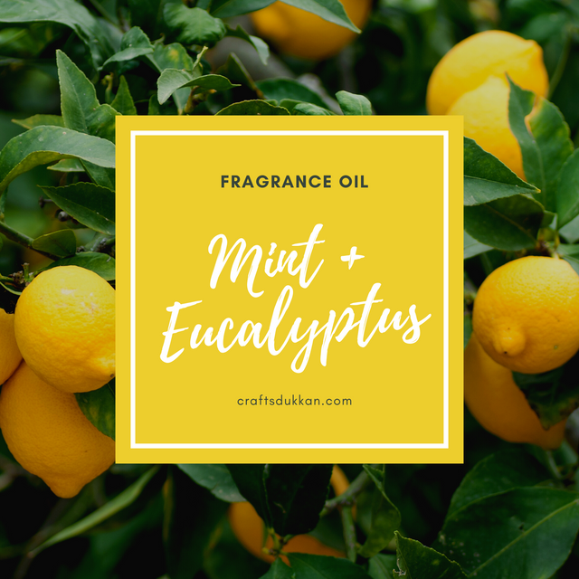 Mint + Eucalyptus - Candle Fragrance Oil