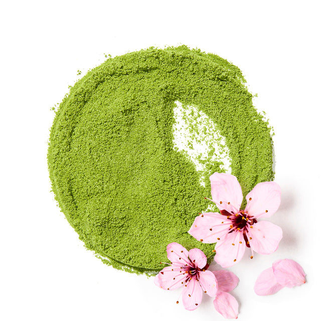 Organic Cherry Blossom Matcha