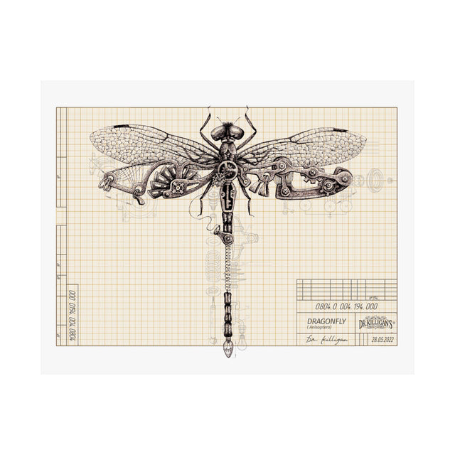 Dragonfly Blueprint Matte Poster — Vintage Scientific Art Print