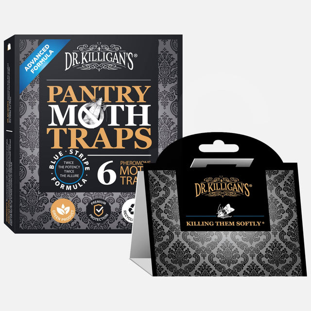 Grain Moth Trap (6 Pack) - Double Potent Pheromone & Glue Formula - Protect Food & Kitchens