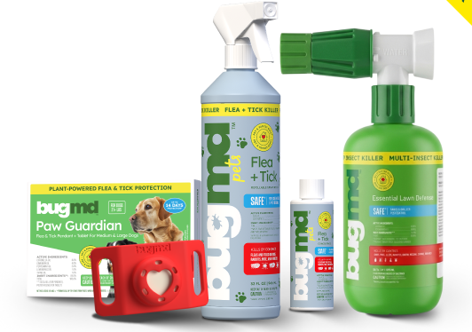 Flea & Tick - Ultimate Flea Kit