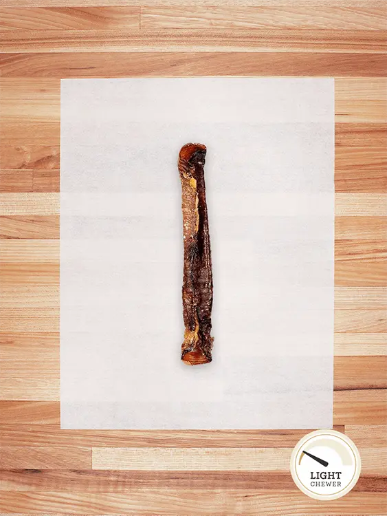 Lamb Trachea