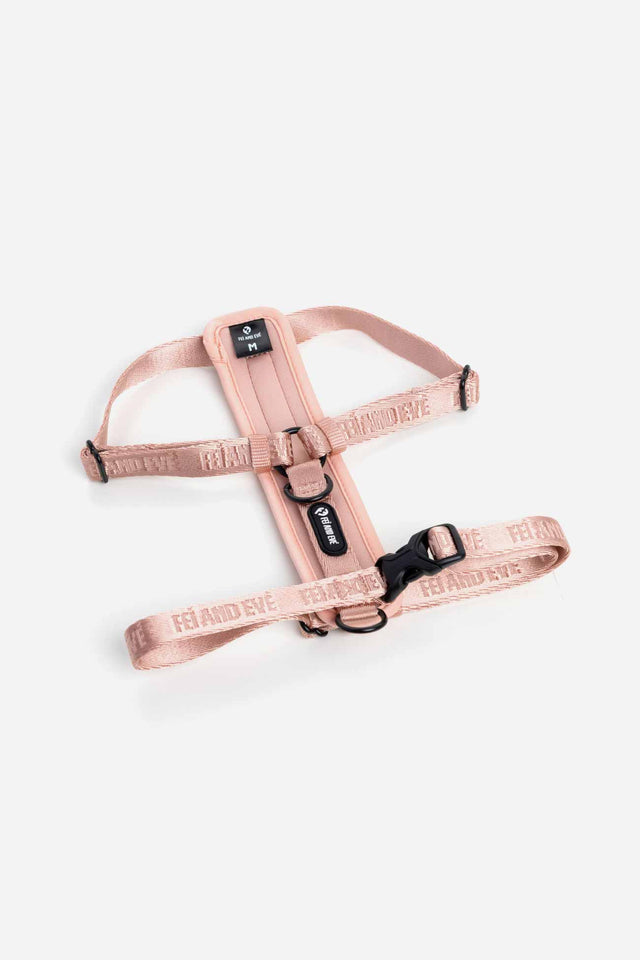 Moxie Harness with Traditional Buckle