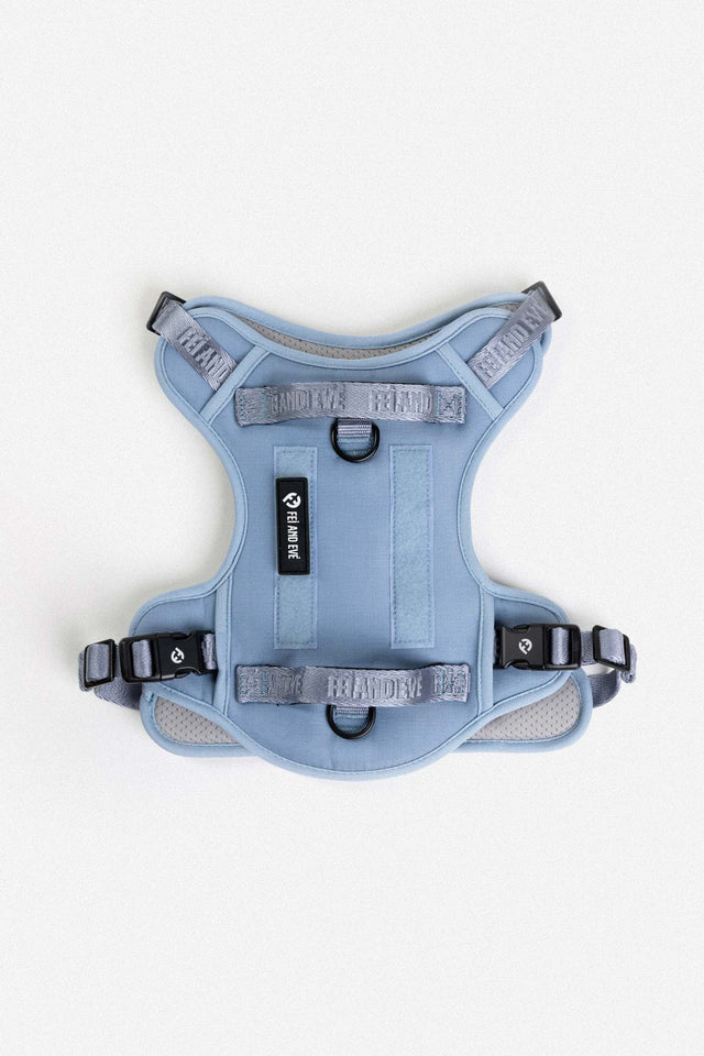 Classic Harness with Traditional Buckles