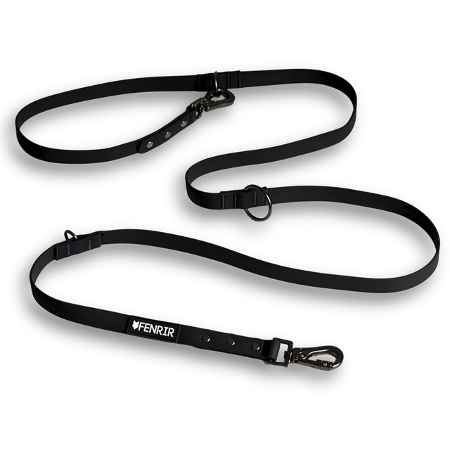 Dog Training Leash