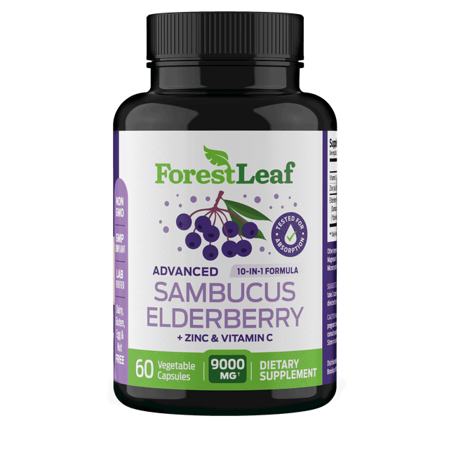 Sambucus Elderberry