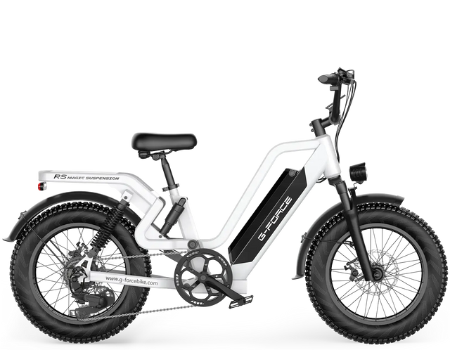 G-FORCE RS ST Ebike
