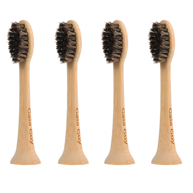Gaia Guy Bamboo & Horsehair Electric Toothbrush Heads – 4-Pack | Compatible with AquaSonic® | Natural Horsehair Bristles | Coated or Uncoated