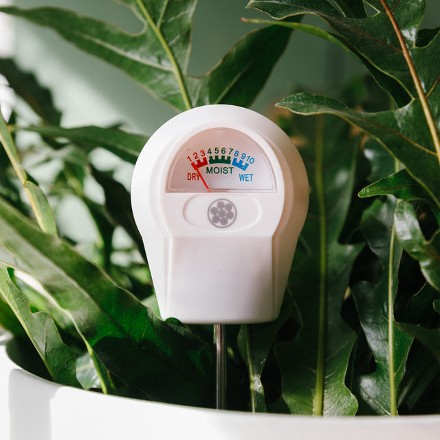 Soil Moisture Meter