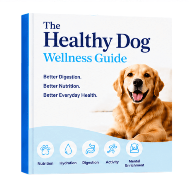 🎁 Subscriber Gift: Dog Wellness (E-Book)