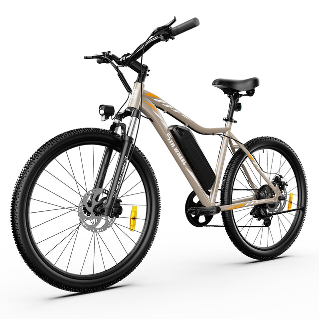 Discover Electric Bike