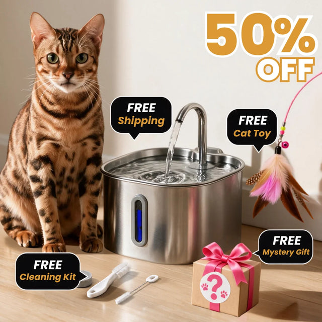 The KittySpout™ - 2.2L Fountain 2–month Kit