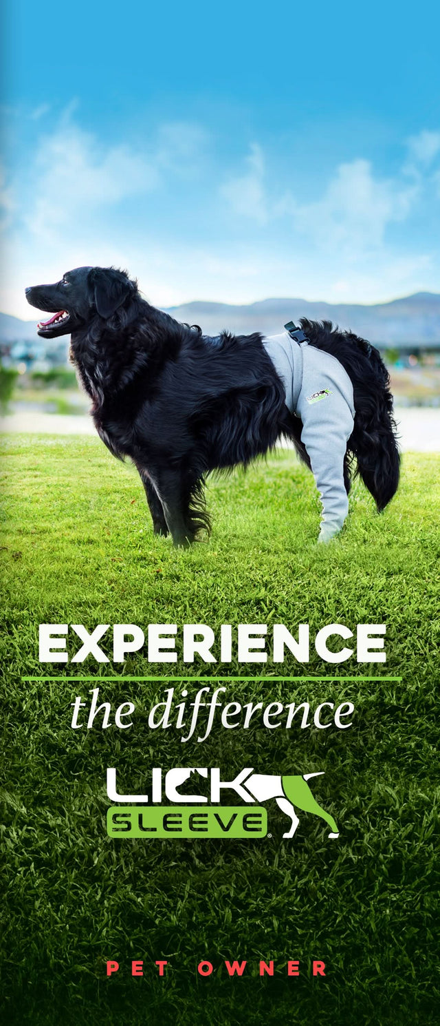 Brochures for Pet Owners (Pack of 50)