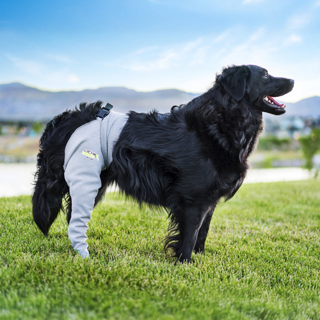 Lick Sleeve® Leg Sleeve